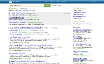 Local Businesses in SERPs